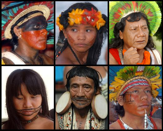 Indios do Brasil